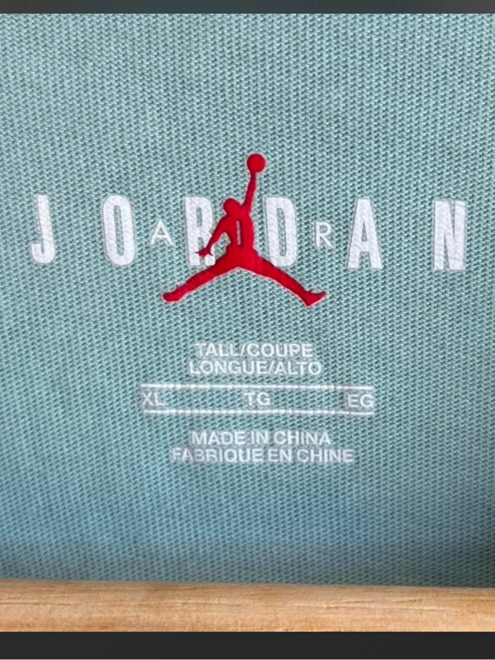 Jordan Embroidered Tee in Light Teal